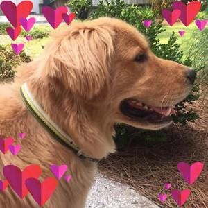 Meet your Posher, Jim